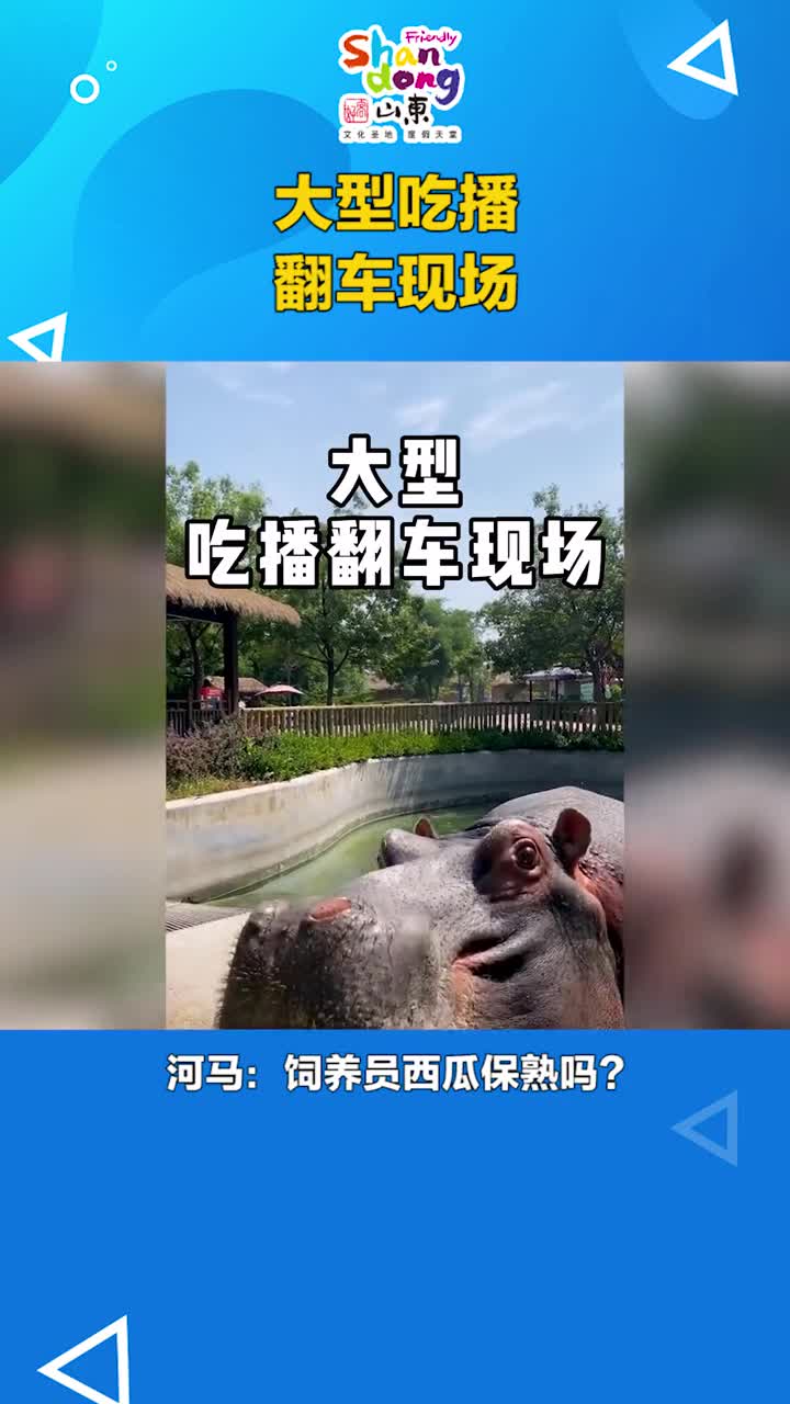 嗷哟没想到你也有翻车的一天啊