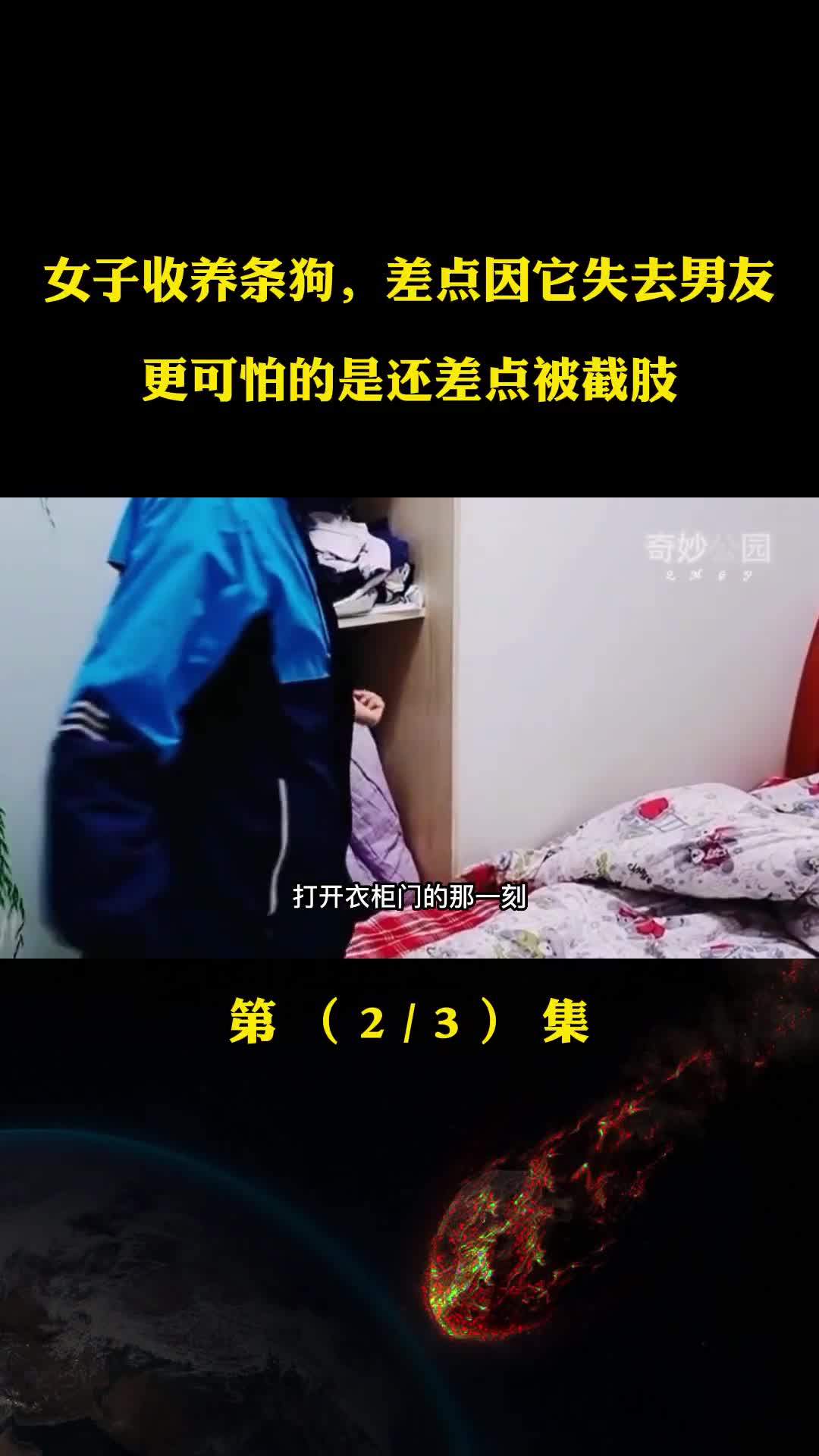 女子收养条狗差点因它失去了男友更可怕的是还差点被截肢