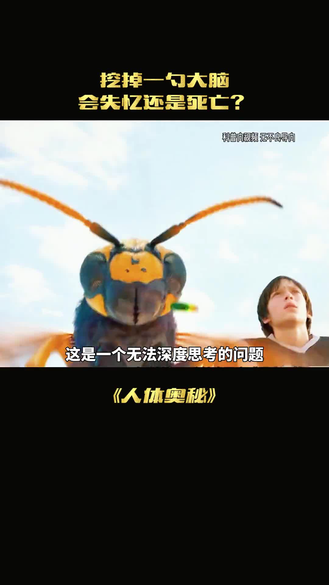 如果把你的大脑挖掉一块你会死亡吗