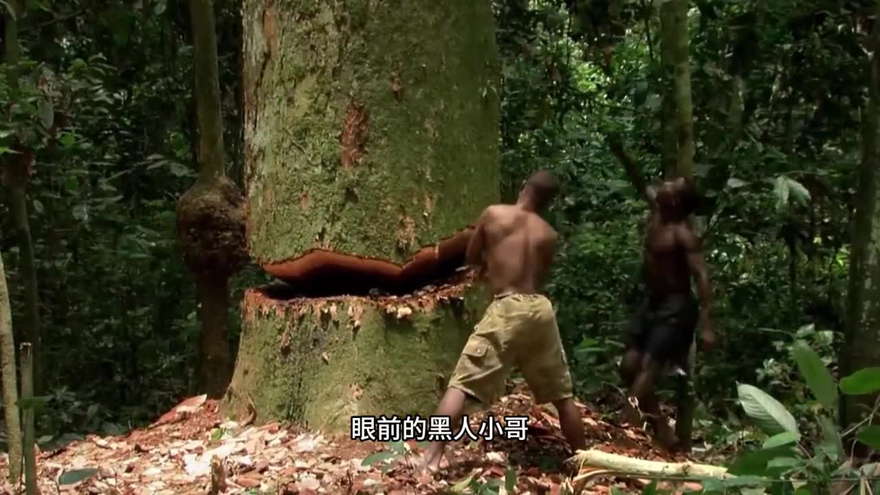 这个琥珀核桃你一定要尝尝不用剥壳吃着超过瘾的