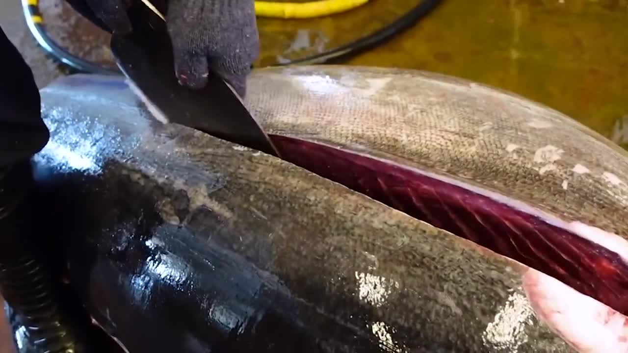 你知道鱼油的生产过程吗