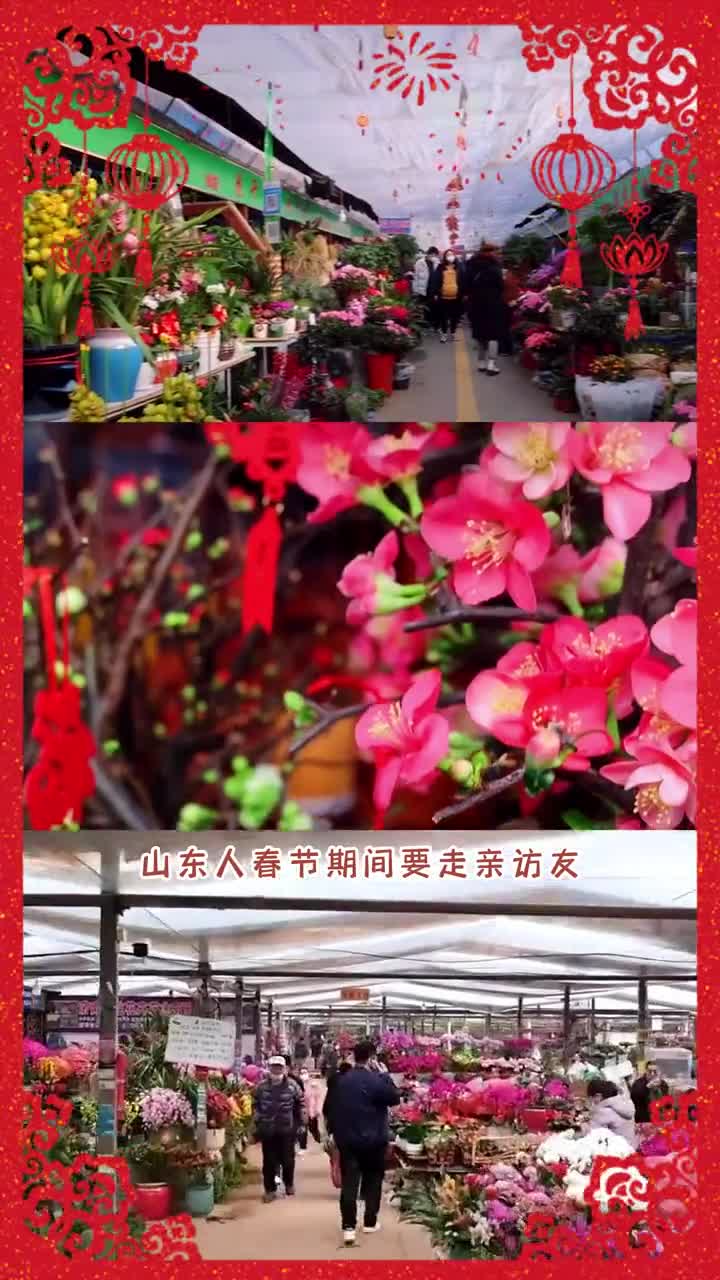 在山东春节期间走亲访友喜欢送花寓意花开富贵这几种美好寓意的花最适合哦