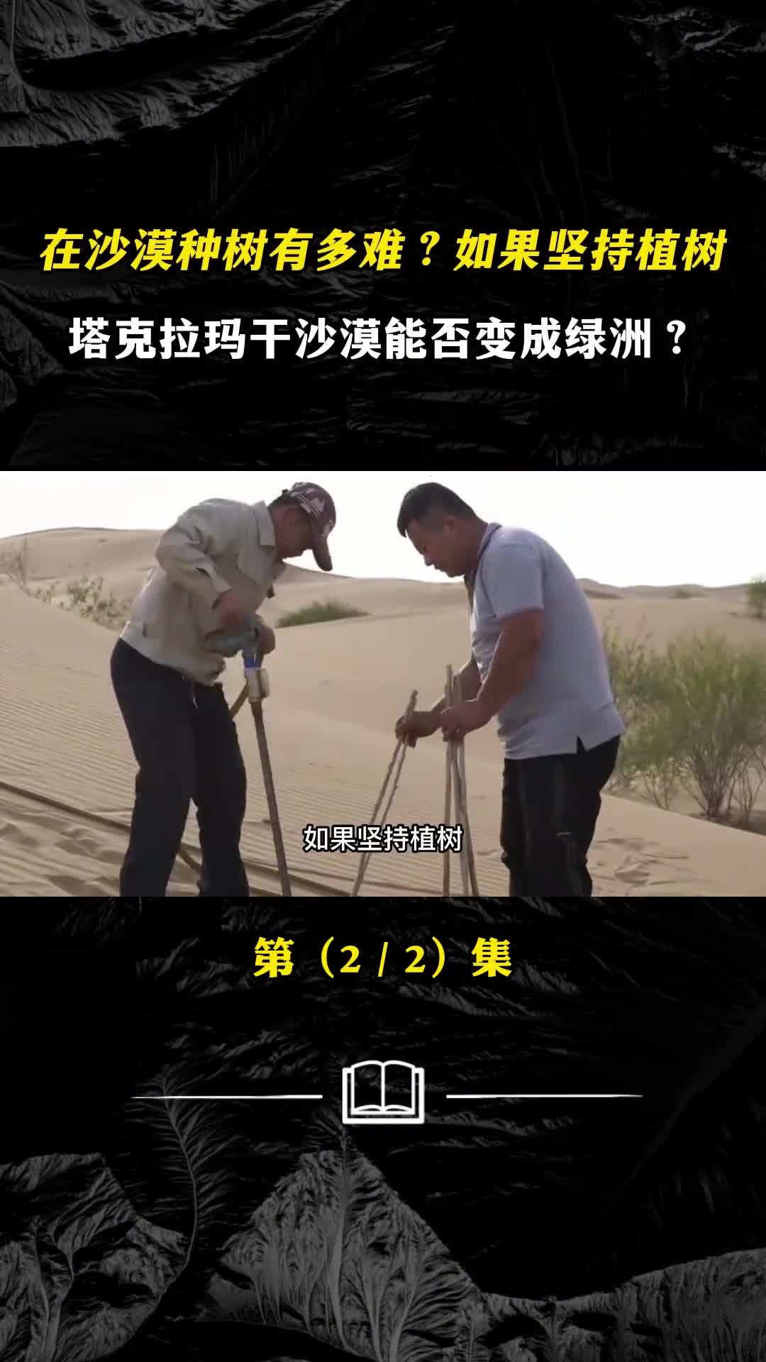 在沙漠种树有多难如果坚持植树塔克拉玛干沙漠能否变成绿洲
