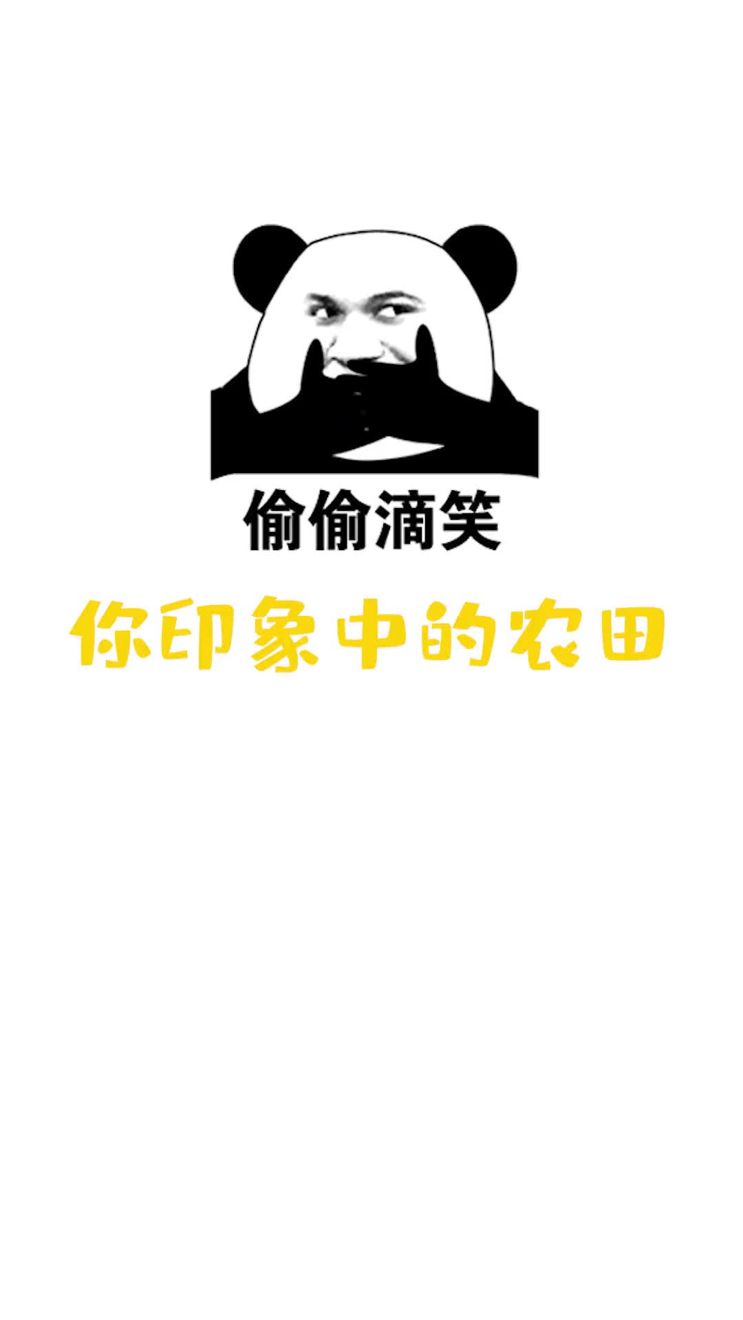 大地为纸稻子为笔东营巨型稻田画原来是这样诞生的