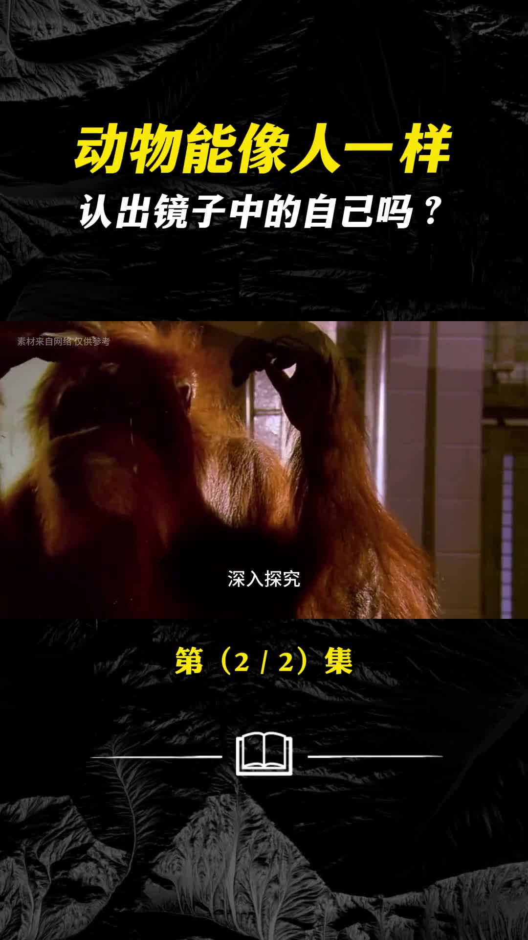 动物能像人一样认出镜子中的自己吗动物能像人一样认出镜子中的自己吗