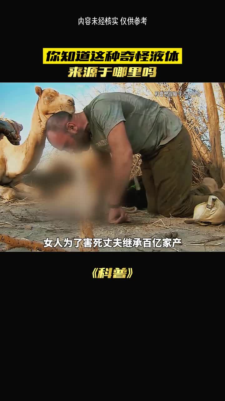 桦树汁有多稀有