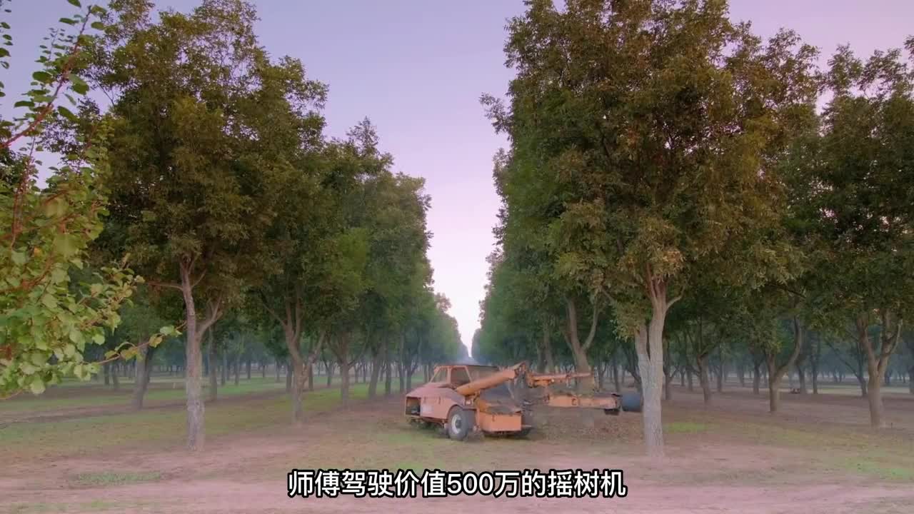 板栗是如何制作的