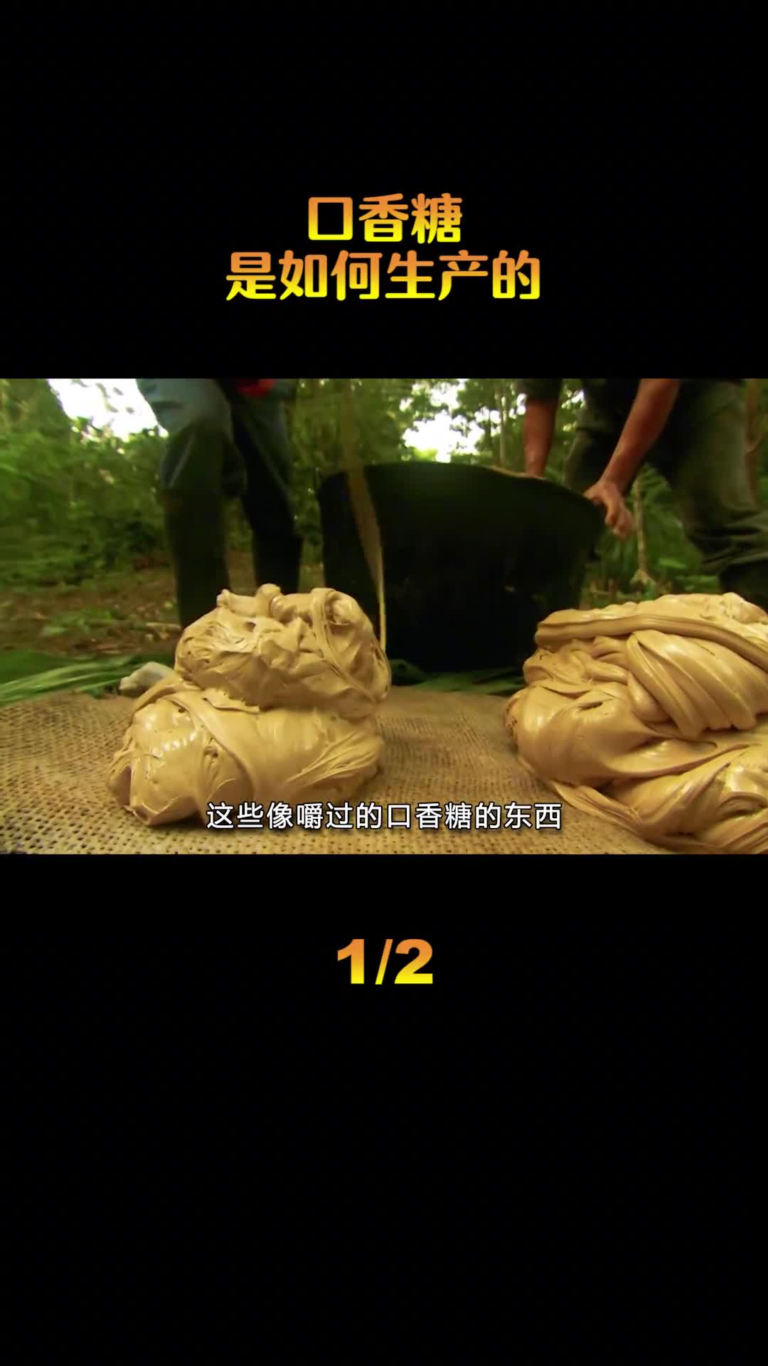 口香糖为什么嚼不烂