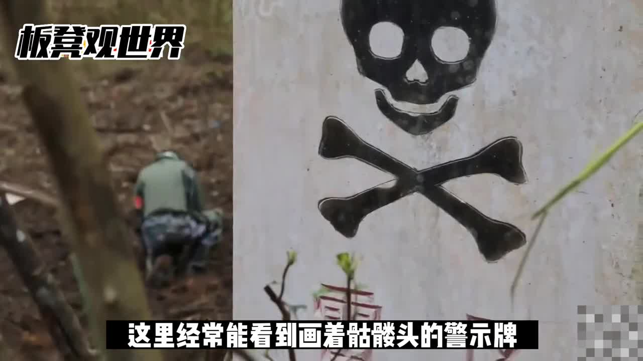 中越边境大片雷区是怎么回事
