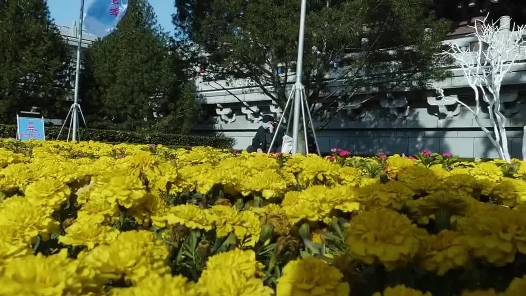 冬季出游有优惠冬游齐鲁好客山东惠民季10日在济南大明湖景区正式启动