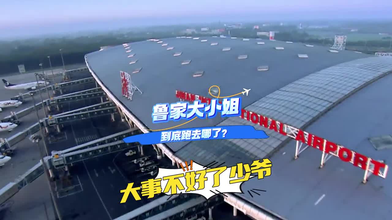 大事不好鲁鲁大小姐不见了各位网友帮我想想她会去哪