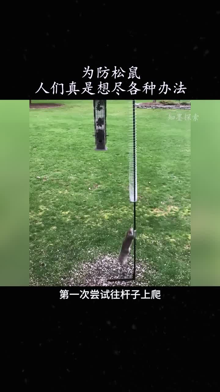 人们为什么要防止松鼠吃食物