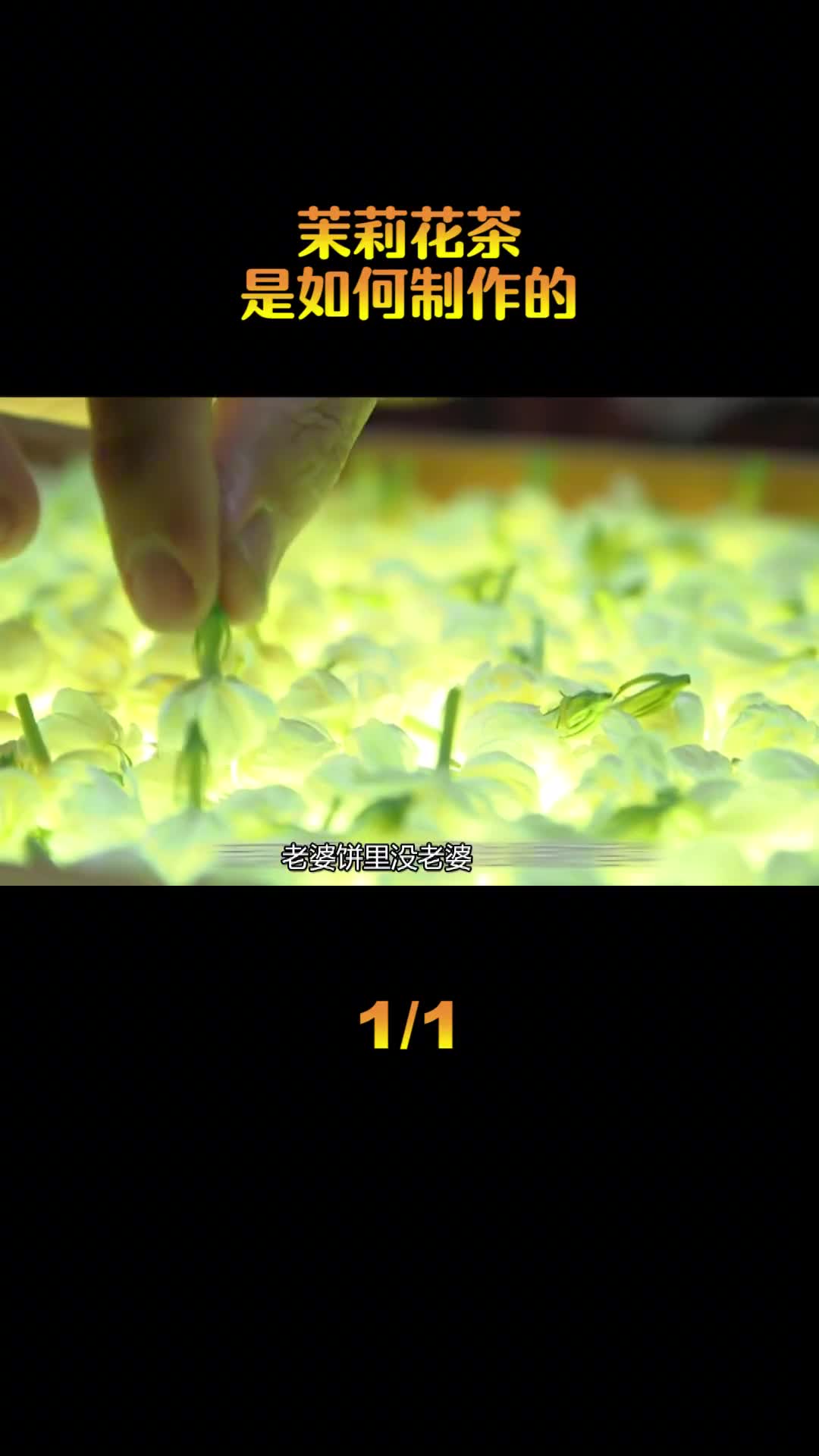 茉莉花茶是如何制作的