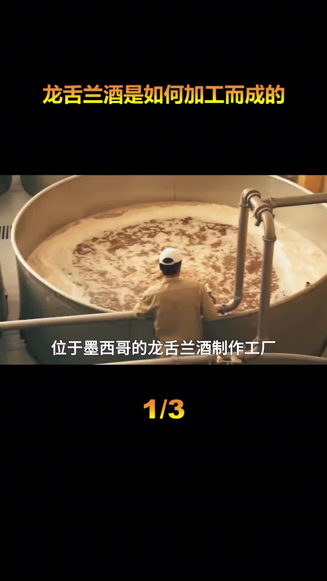 墨西哥加工厂是如何制龙舌兰酒的