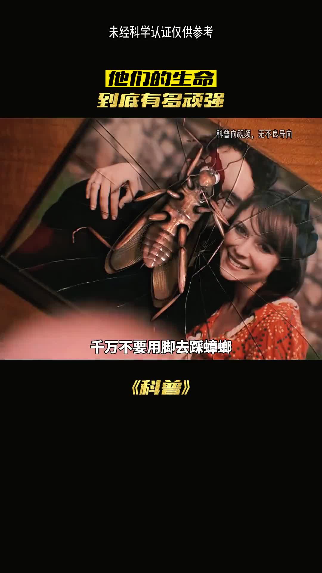 千万不能用脚丫去踩他们