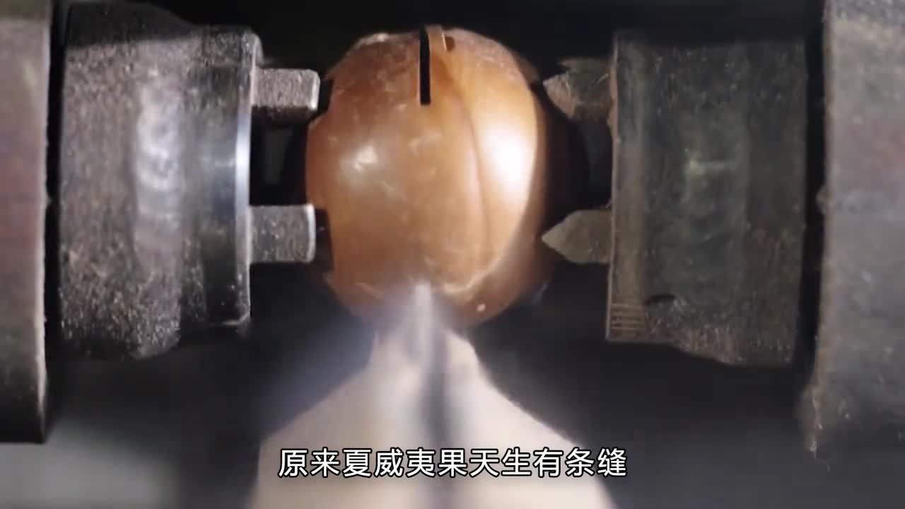 原来夏威夷果天生就有条缝