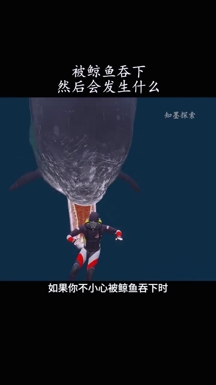 如果被鲸鱼吞下时会发生什么