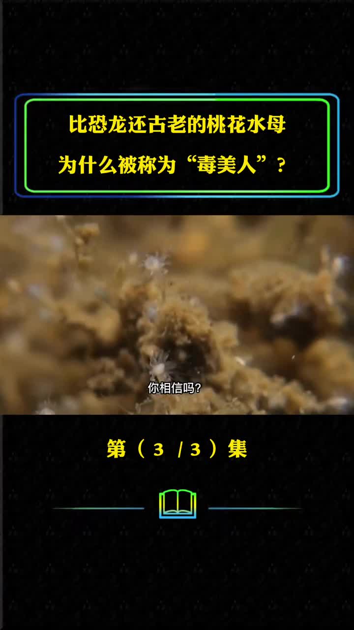 桃花水母是什么为何说水母是毒美人它真的是濒危物种吗