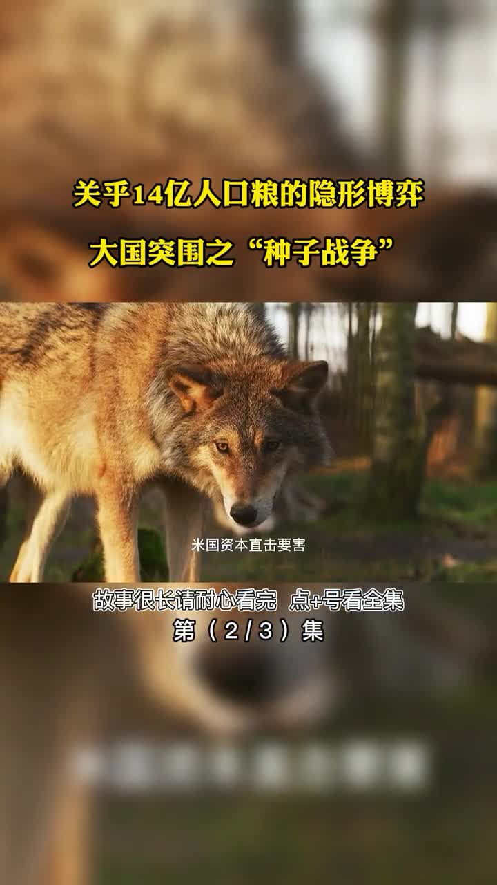 粮食战争看M国种子霸权策略如何收割全球财富第2集
