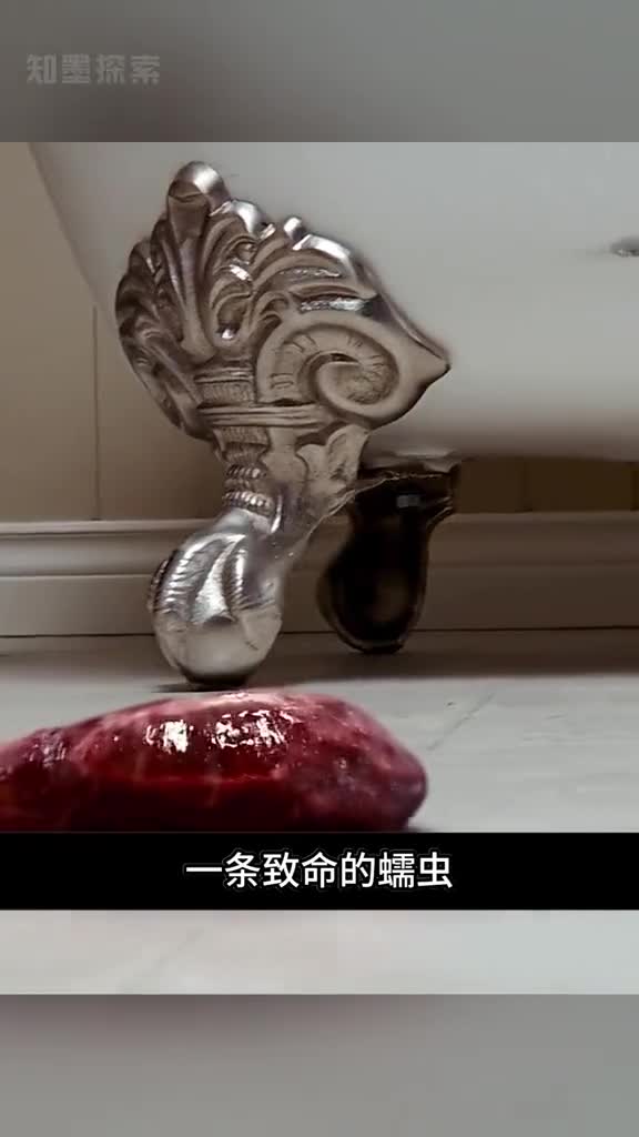 一条虫子正在爬向女人