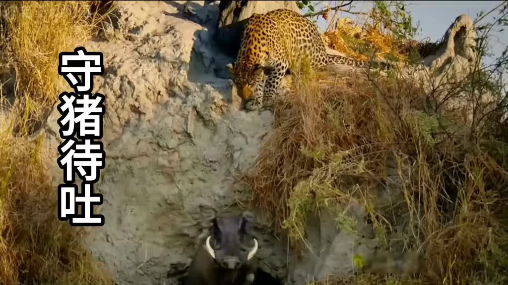 我这一生如履薄冰