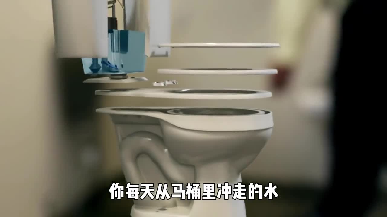 你每天从马桶里冲走的水最后都去哪了带你看城市净水系统如何工作的