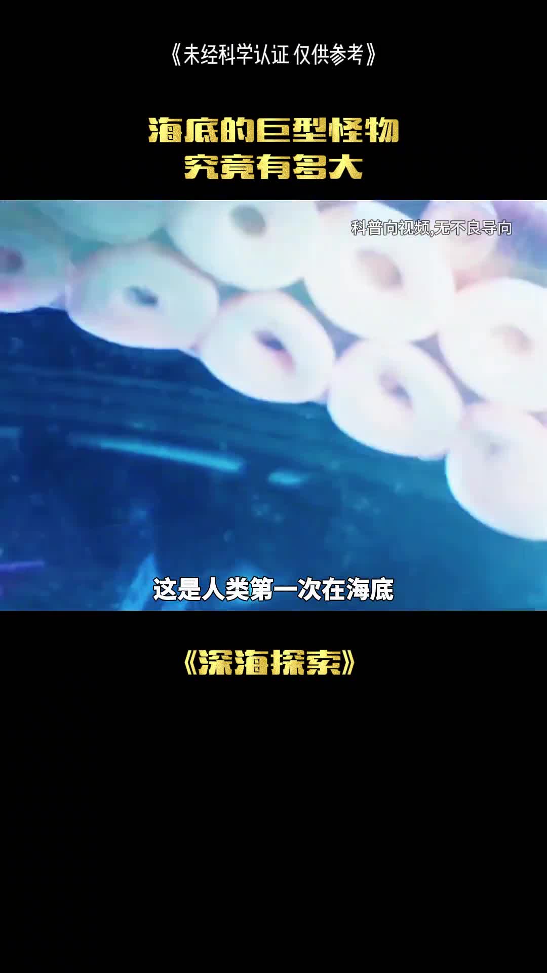 大王乌贼有多可怕
