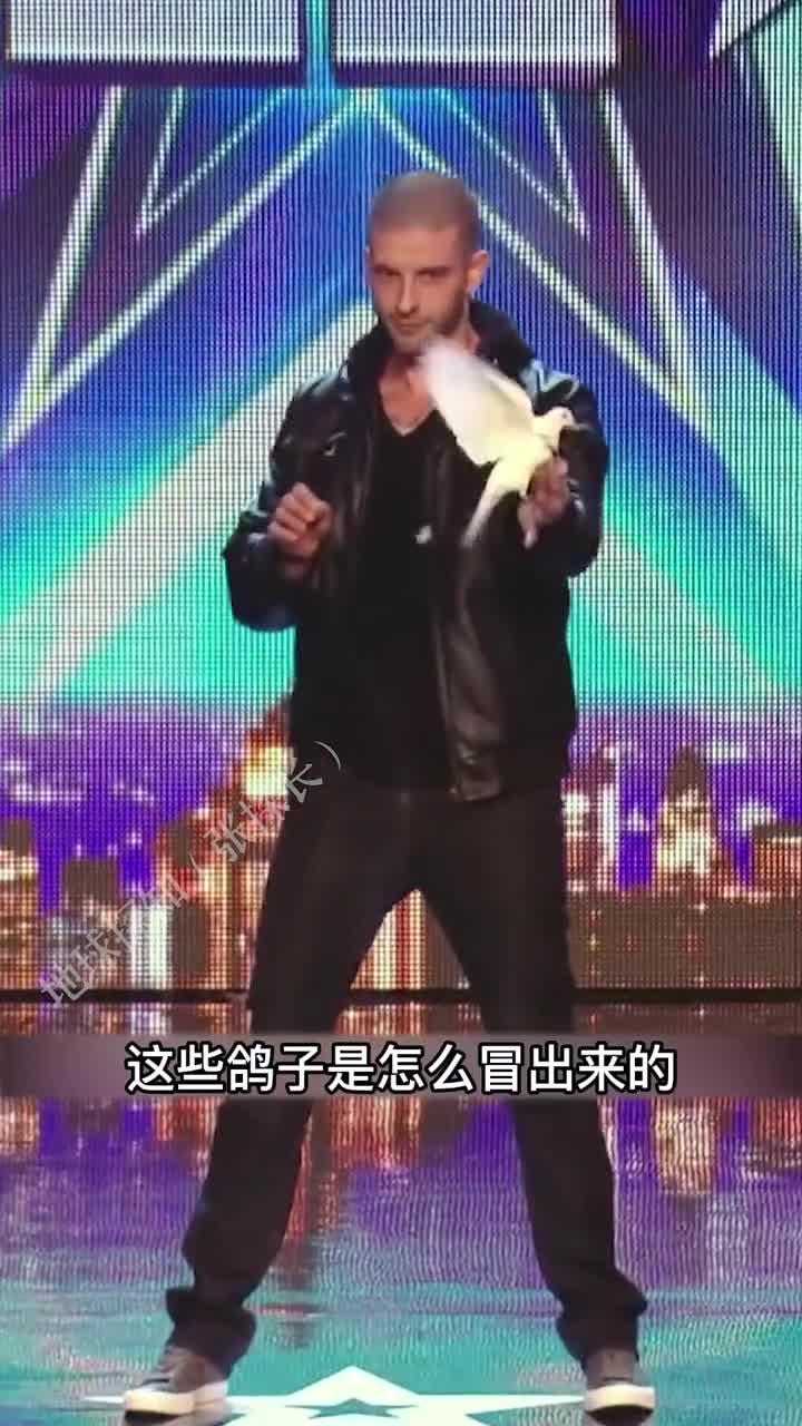 变鸽子魔术揭秘