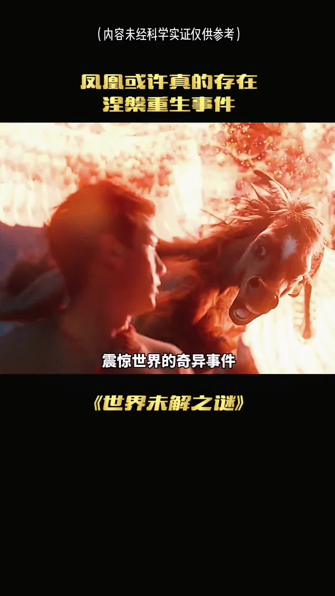 凤凰或许真的存在你见过真的凤凰吗