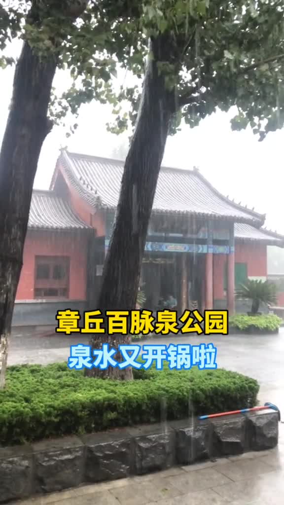 一下雨济南的泉水又开锅啦
