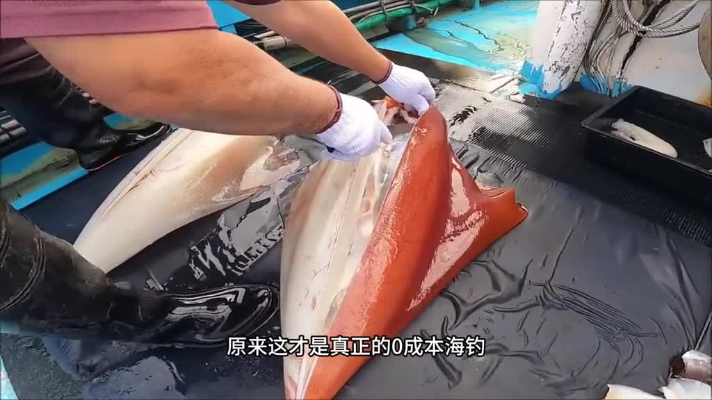 原来鱿鱼还能制作成这东西