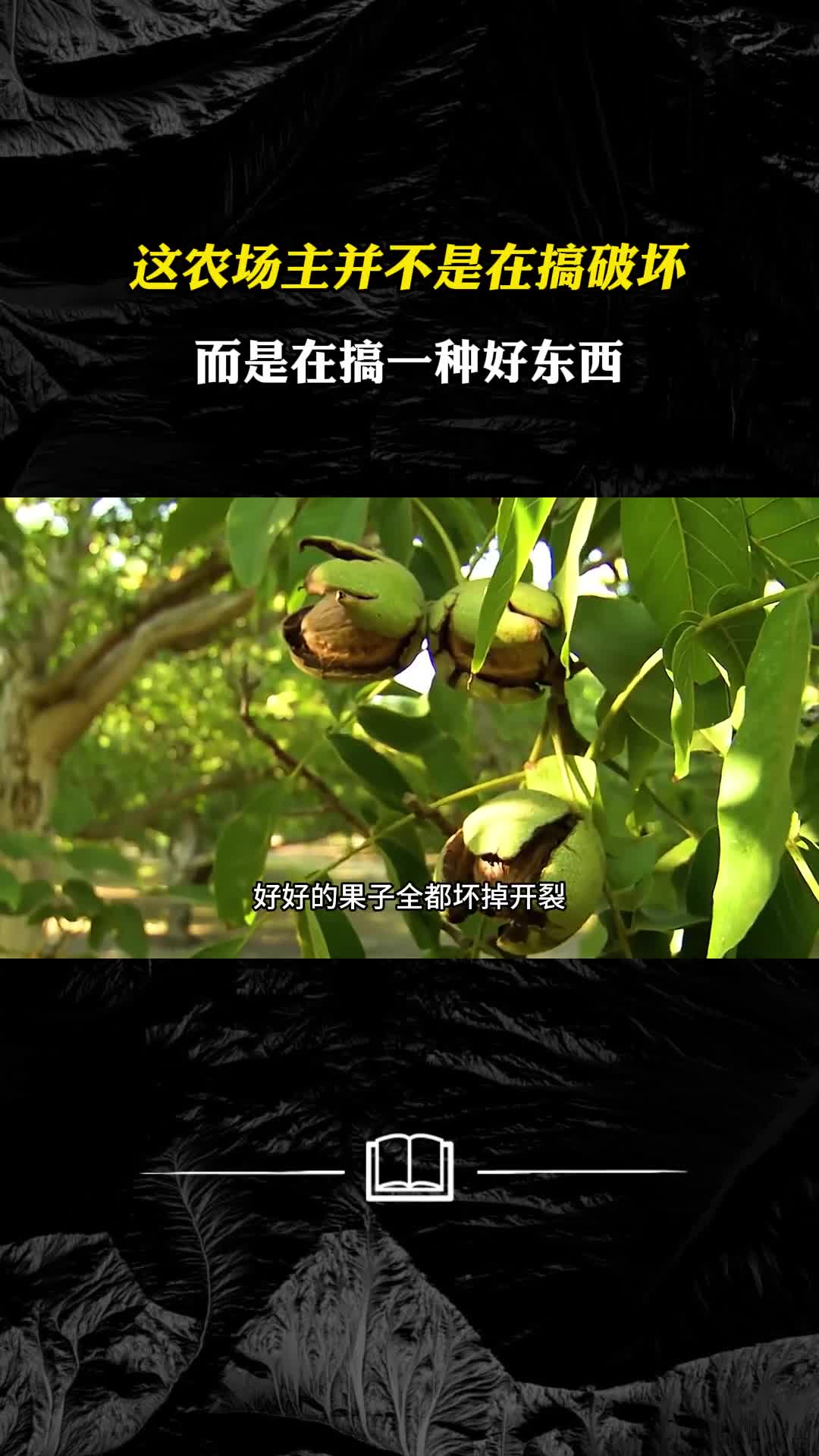 这农场主并不是在搞破坏而是在搞一种好东西