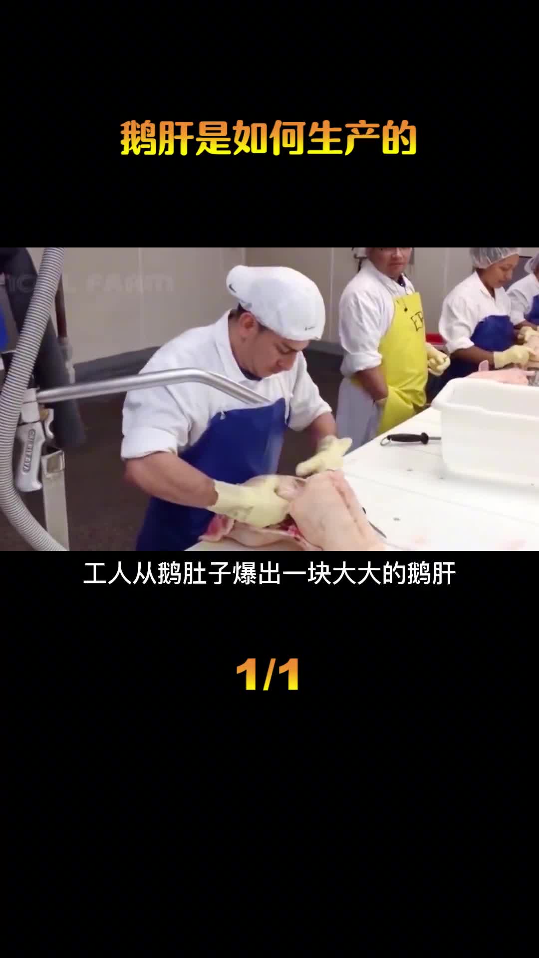 你知道鹅肝是如何生产的吗