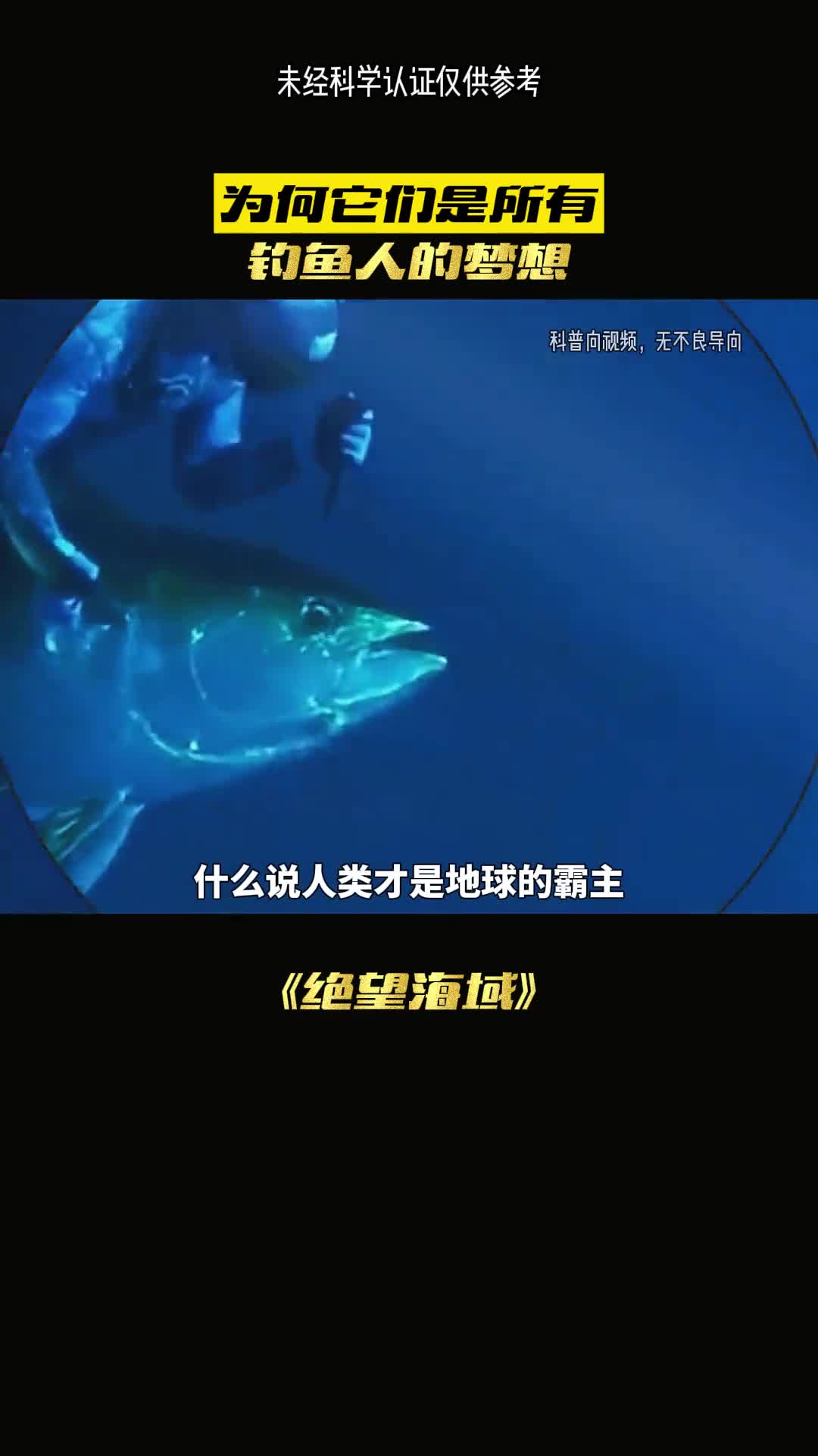 金枪鱼为何被人类屠杀