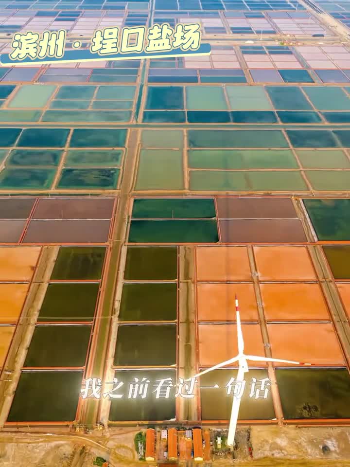 和宇辉一起奔赴山东寻找生活中的美好