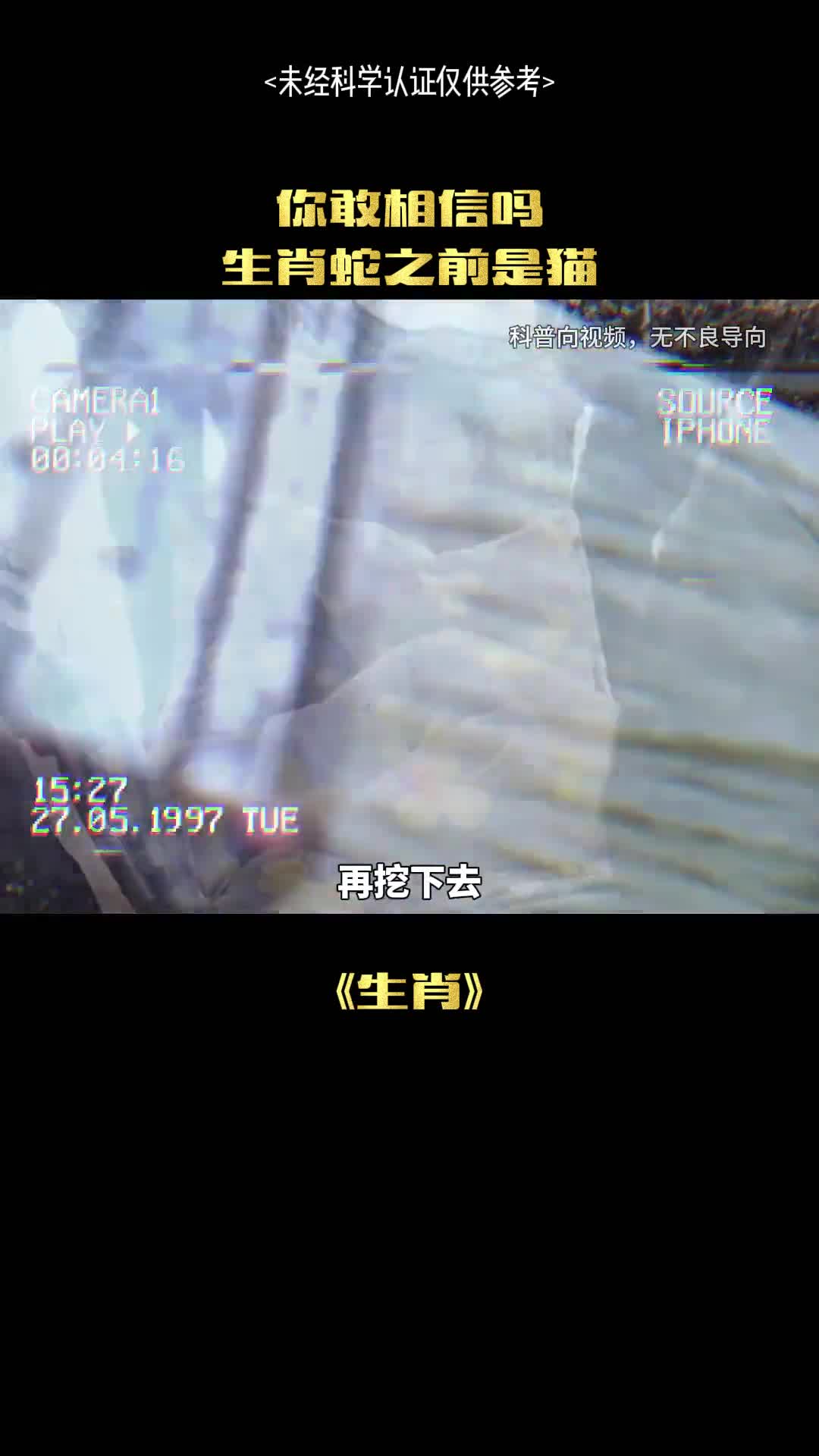 生肖猫真的存在吗