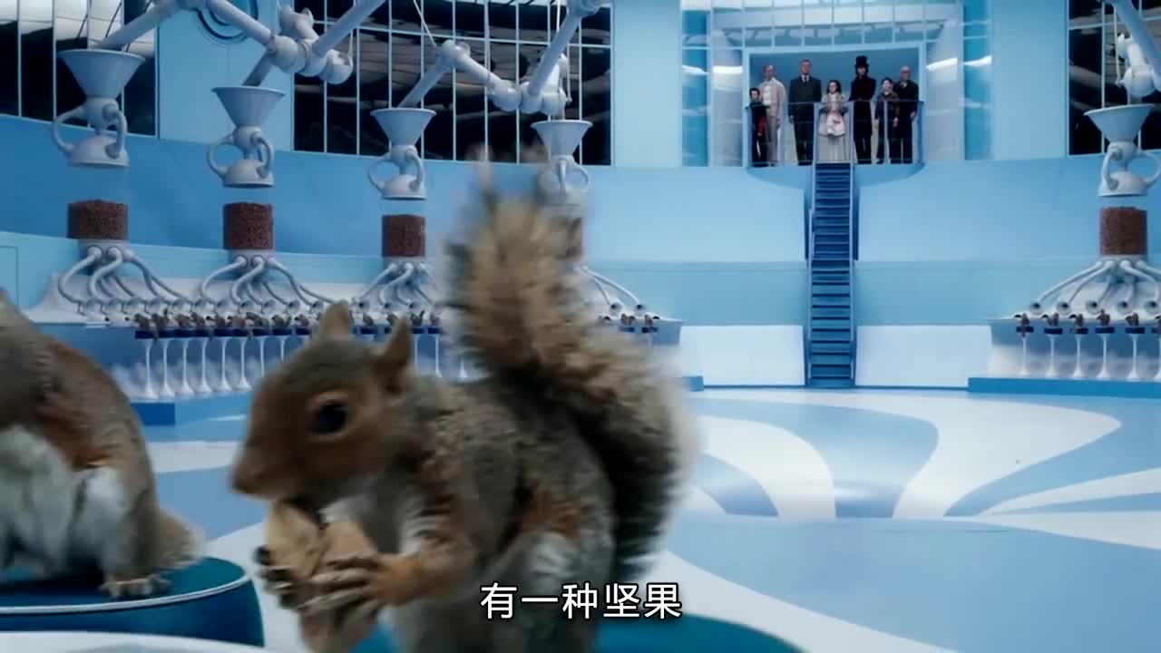 只有中国才有的美食香榧子