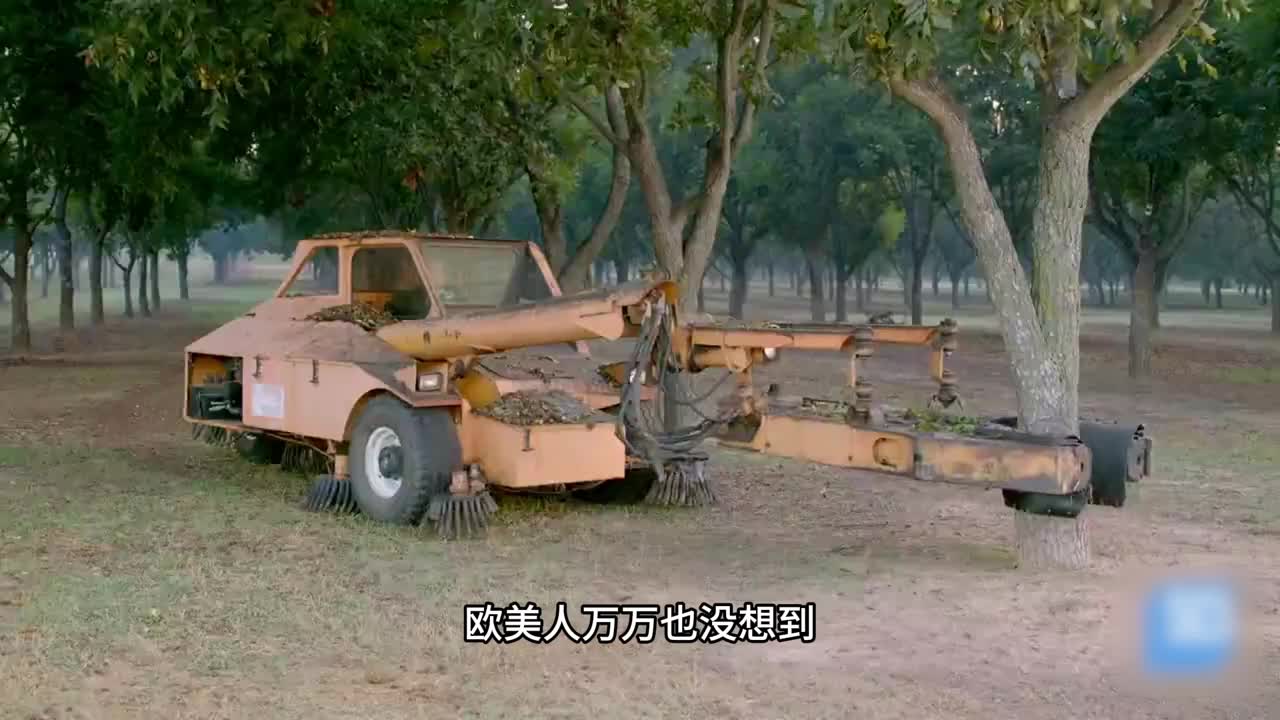 琥珀核桃的大羊毛好吃又实惠酥酥脆脆的特别香