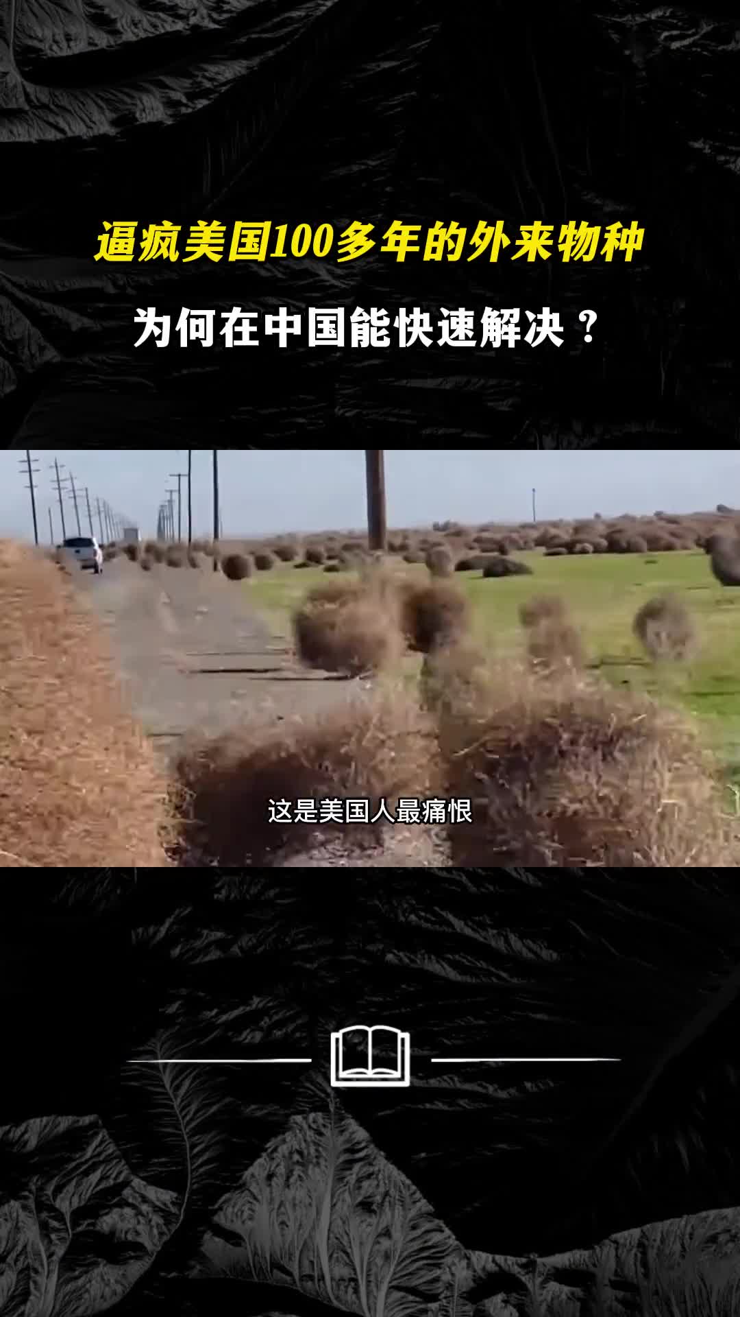 逼疯美国100多年的外来物种为何在中国能快速解决