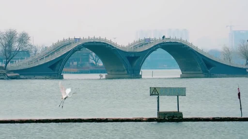 南有杭州西子秀北有水城胭脂美坐船而行白鹭齐飞宛若人在画中游在春暖花开的季节来一趟东昌湖吧感受江北水城的美好风光