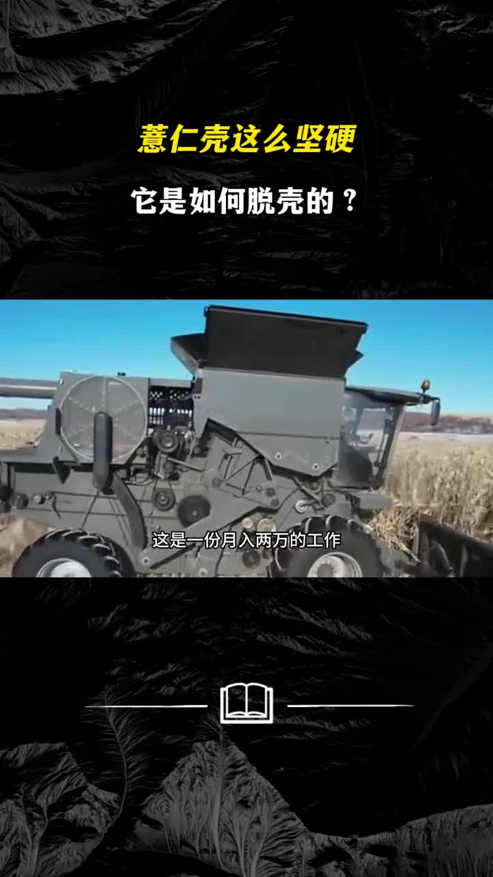 薏仁壳这么坚硬它是如何脱壳的