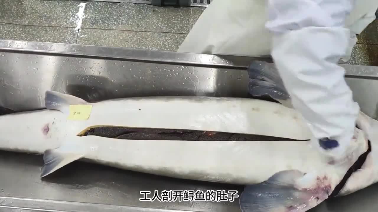 鱼子酱味道鲜美入口即化如果还没吃过的强烈推荐试试