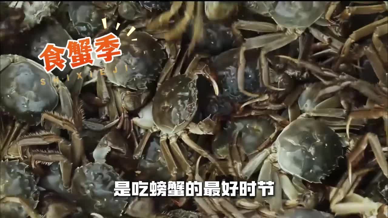又到了吃螃蟹的最好时节了秋日的第一口蟹来陪鲁鲁吃吧