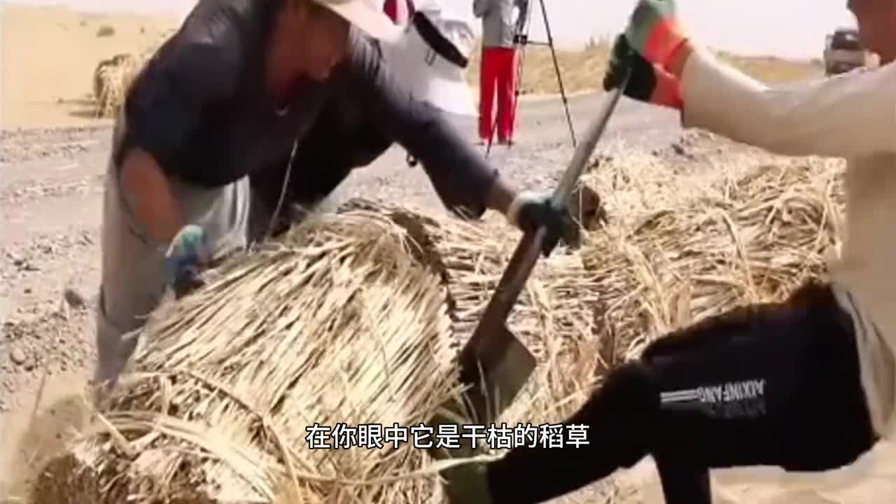 你喝过黑水吗不仅颜值高口味也特别优秀