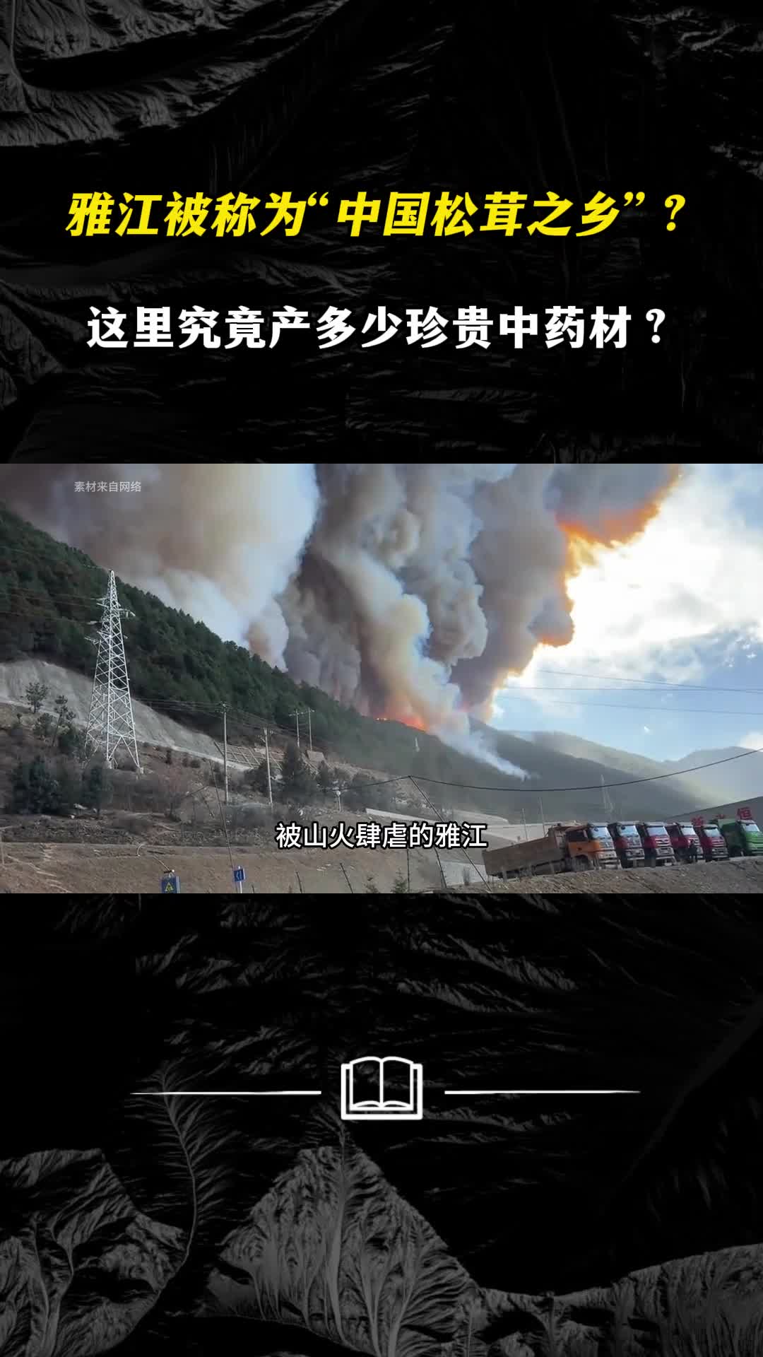 雅江为何被称为中国松茸之乡这里究竟产多少珍贵中药材