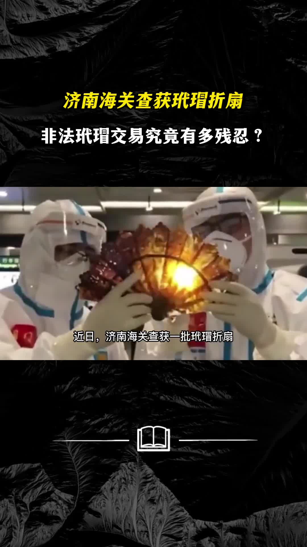 济南海关查获玳瑁折扇非法玳瑁交易究竟有多残忍