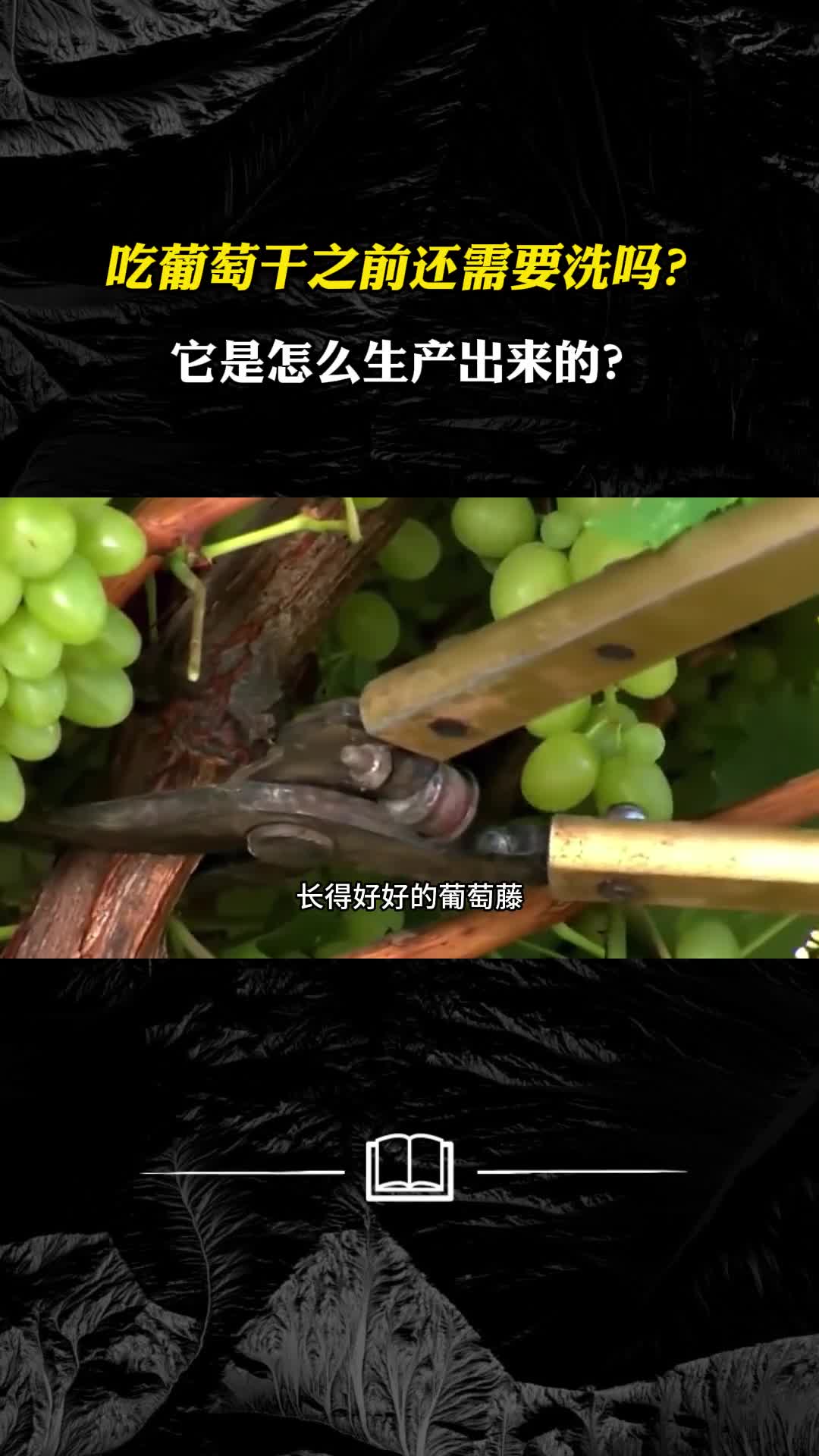 吃葡萄干之前还需要洗吗它是怎么生产出来的
