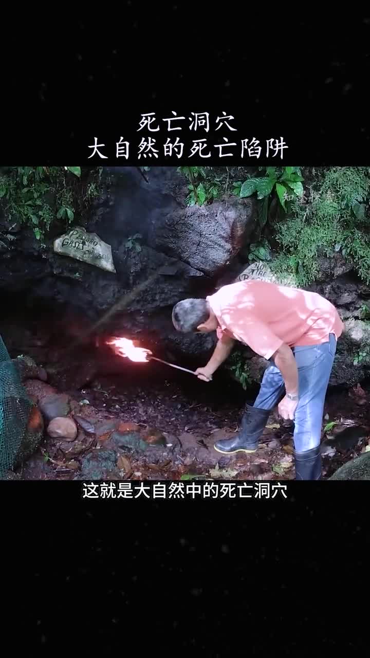 大自然中的死亡洞穴