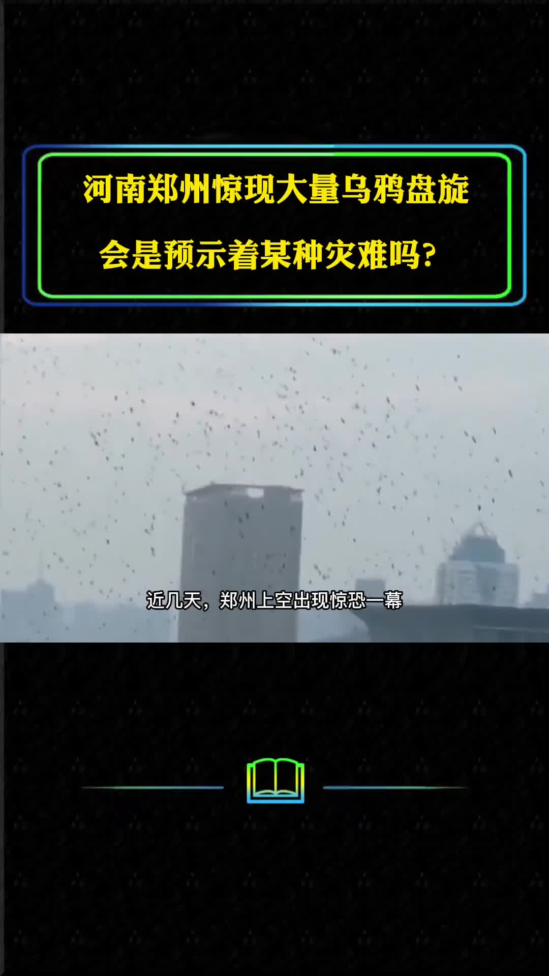 惊现大量乌鸦低空盘旋哀嚎不断究竟是为什么