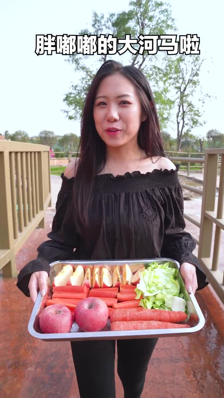 好想拥有这样憨憨的乖宝宝